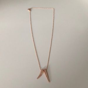 Rose gold horn necklace